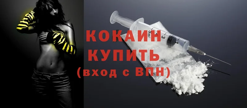 дарнет шоп  МЕГА ТОР  Cocaine Эквадор  Кировск 