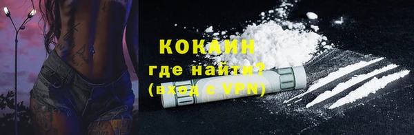 соль ск Новозыбков