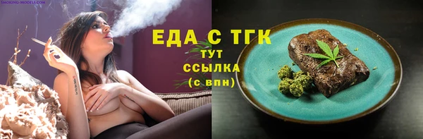 соль ск Новозыбков