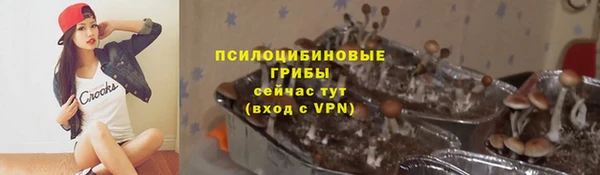 apvp Нефтекумск
