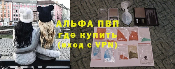 соль ск Новозыбков