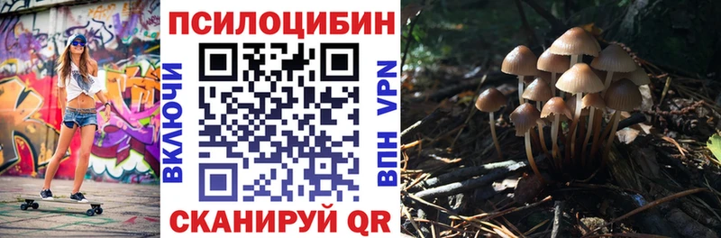 нарко площадка формула  Кировск  Галлюциногенные грибы Psilocybine cubensis 