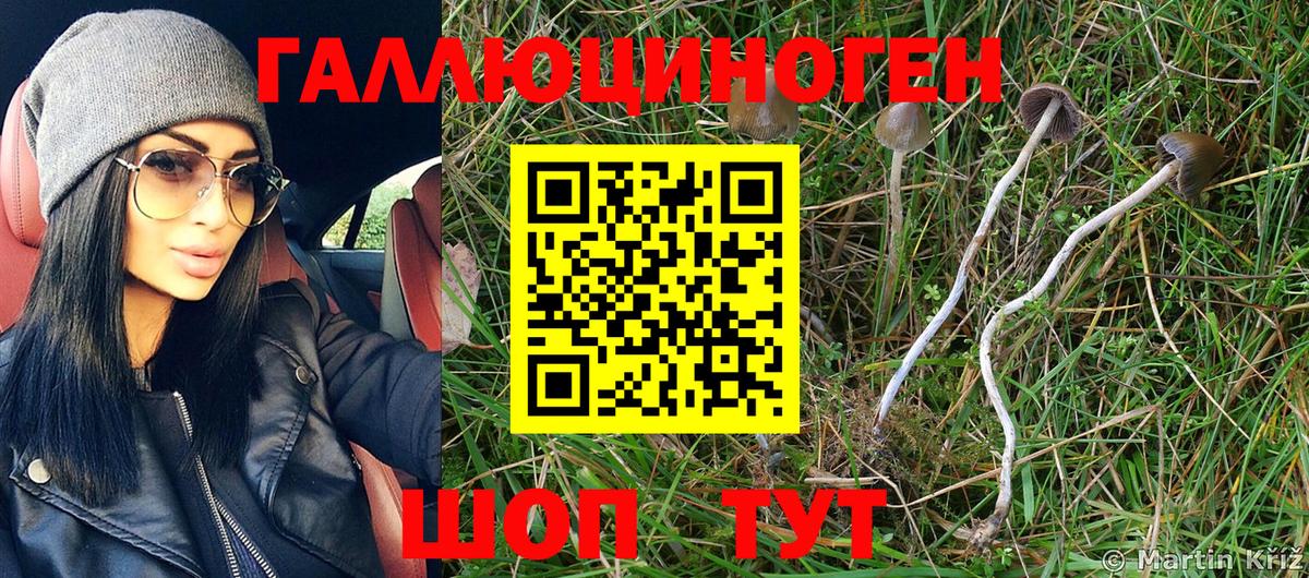 Кировск  Псилоцибиновые грибы Psilocybe  Псилоцибиновые грибы Psilocybine cubensis  Вход с VPN 