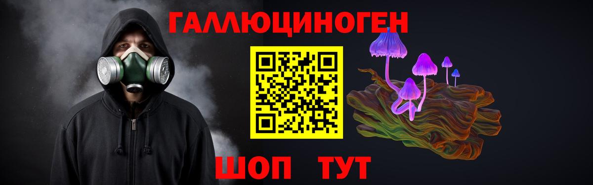 Псилоцибиновые грибы Psilocybe Кировск
